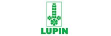 Lupin