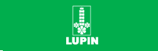 Lupin