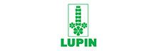 Lupin