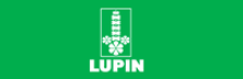 Lupin