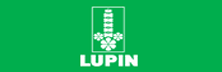 Lupin