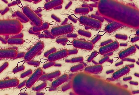  Will Salmonella Evolve into Next Big Global Health Concern? India Pharma Outlook