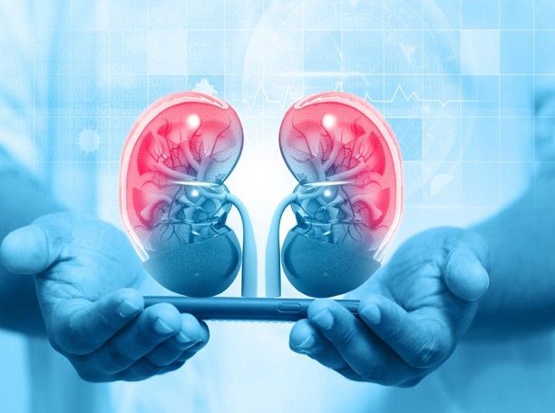 India's AI Dialysis Ecosystem Signals New Era in Kidney Care Systems