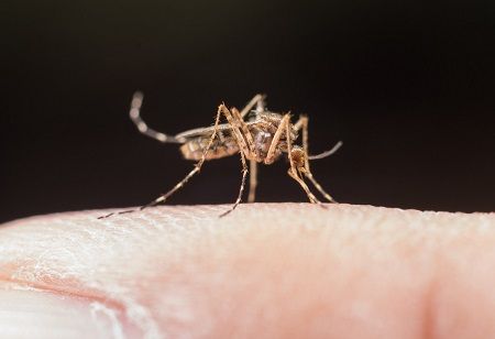  Dengue Vaccine: 4 Outcomes to Track in Tamil Nadu's Pilot India Pharma Outlook