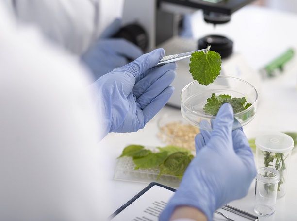 ICMR Launches Books on Indian Medicinal Plants for Drug Use