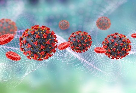 Chandipura Virus Cases Surge in Gujarat, Death Toll Hits 27, India Pharma Outlook