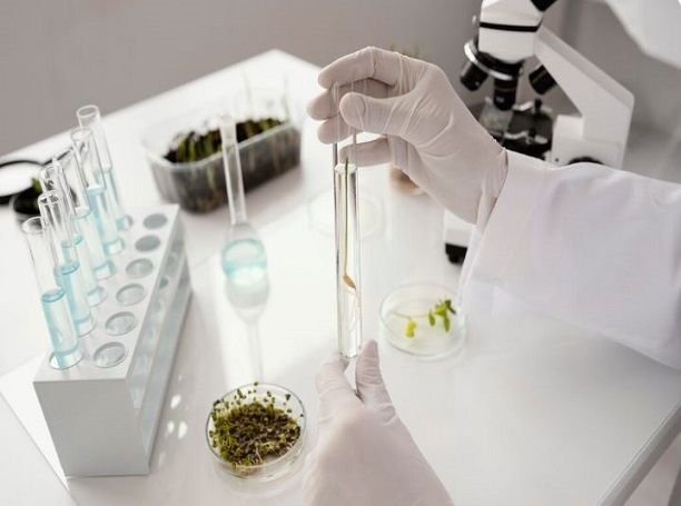 DBT Invites Proposals for Green Biomanufacturing of APIs & Chemicals