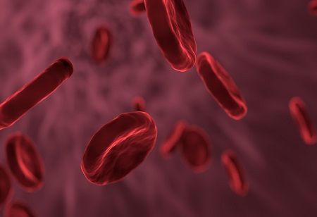  Thalassemia, India Pharma Outlook