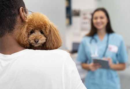  Animal Hospitals, animal healthcare standards, India Pharma Outlook