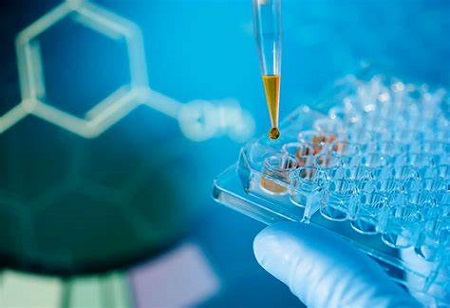  India Pharma Outlook Team