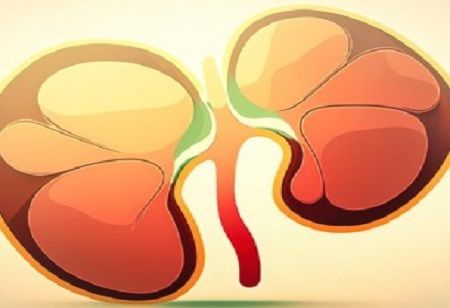 Helex Raises $3.5M to Advance Kidney Gene Therapies