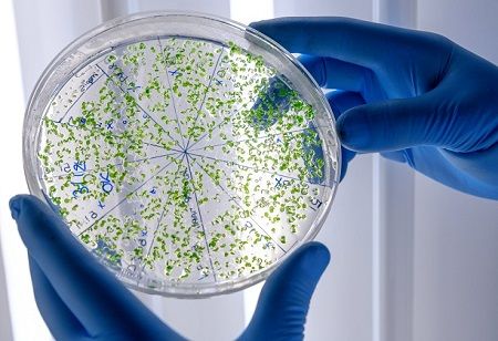 biotechnology firm, single-cell technology, India Pharma Outlook