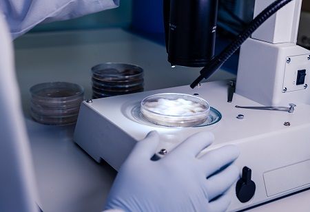  IVF Clinics under Watch as NCW Backs Reproductive Rights India Pharma Outlook