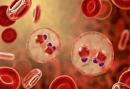  indigenous malaria vaccine