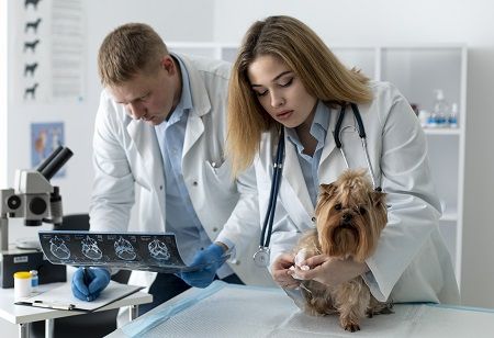  Medical Research, Family Welfare, examine drugs, India Pharma Outlook
