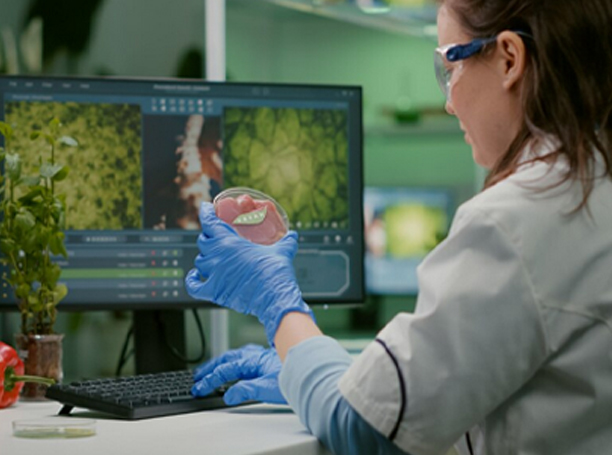 herbal extracts, plant extracts, novel techniques, Medicinal herbs, bioactive compounds, herbal supplements