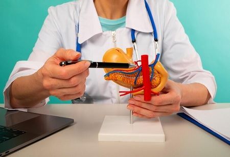  Fatty Pancreas Is Now a Disease, Experts Issue Serious Warning, India Pharma Outlook