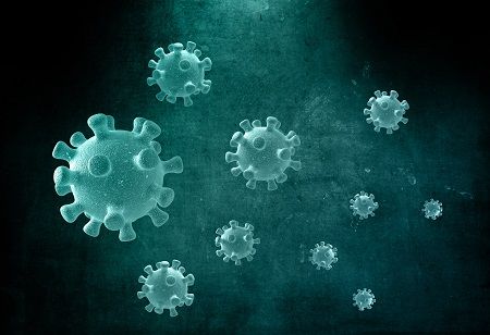  Centre Deploys Expert Team as Chandipura Virus Cases Rise in Gujarat, India Pharma Outlook