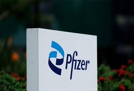  Pfizer-Valneva Lyme Vaccine Shows Strong Phase 3 Efficacy