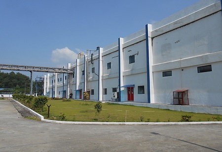  India Pharma Outlook Team