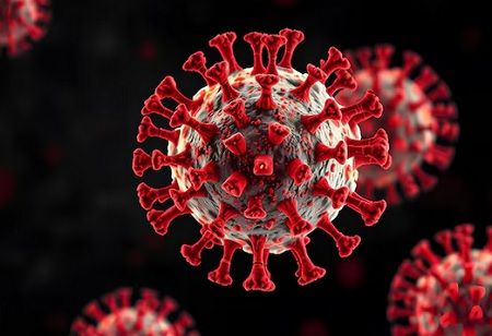  Bundibugyo virus, Ebola outbreak, India Pharma Outlook